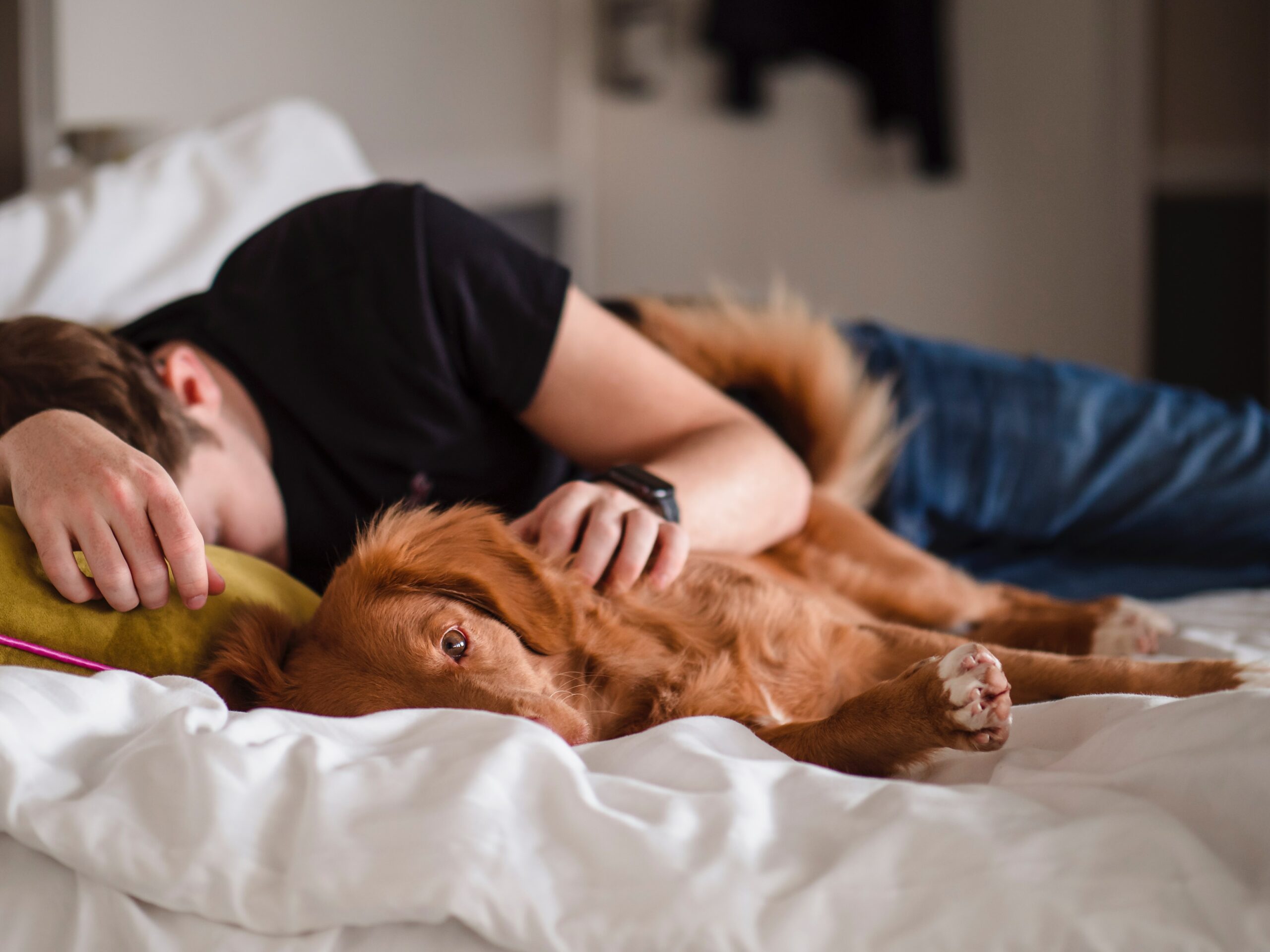 man sleeping on bed with a dog