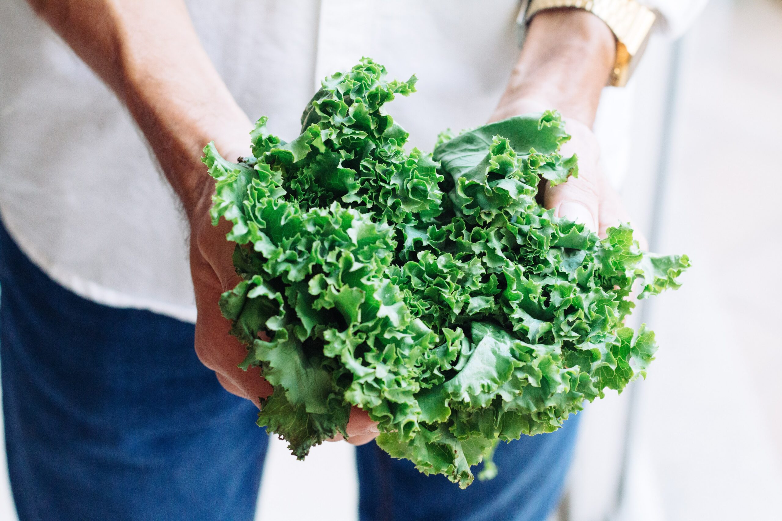 a person holding green leaves